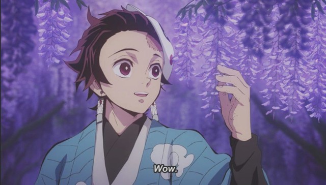 Kimetsu no Yaiba: Nếu như Muzan bị tiêu diệt, Sát Quỷ Đoàn có tồn tại nữa hay không? - Ảnh 6.