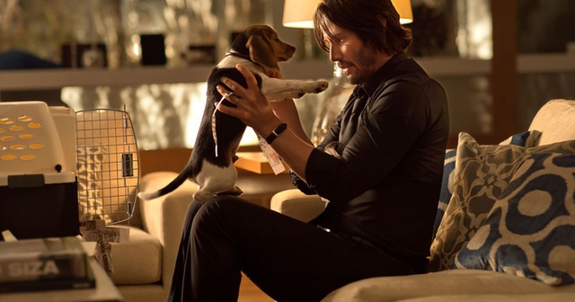 Assassin John Wick: Crazy dog ​​lover in the movie, but what is the truth in real life? - Photo 1.