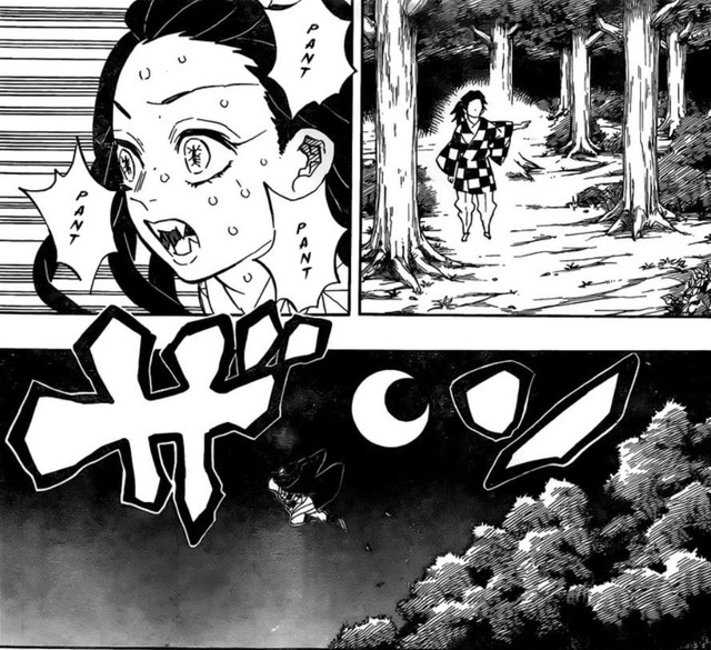 Phân tích Kimetsu no Yaiba chương 188: Nezuko hay Yushiro sẽ là người cứu Sát Quỷ Đoàn khỏi độc của Muzan? - Ảnh 7.