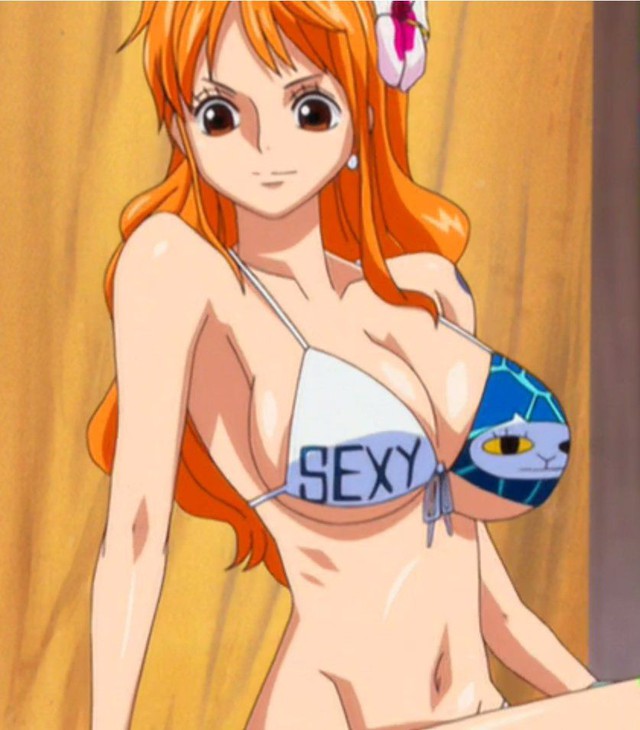 One Piece: Tại sao hoa tiêu gợi cảm của băng Mũ Rơm lại là cô gái sở hữu lượng fan nam hùng hậu nhất? - Ảnh 2.