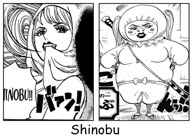 One Piece: Nhìn vào nhan sắc hiện tại của 6 nhân vật này, nhiều fan sẽ cảm thấy lo lắng cho các chị đẹp Nami, Robin, Boa đấy! - Ảnh 4.