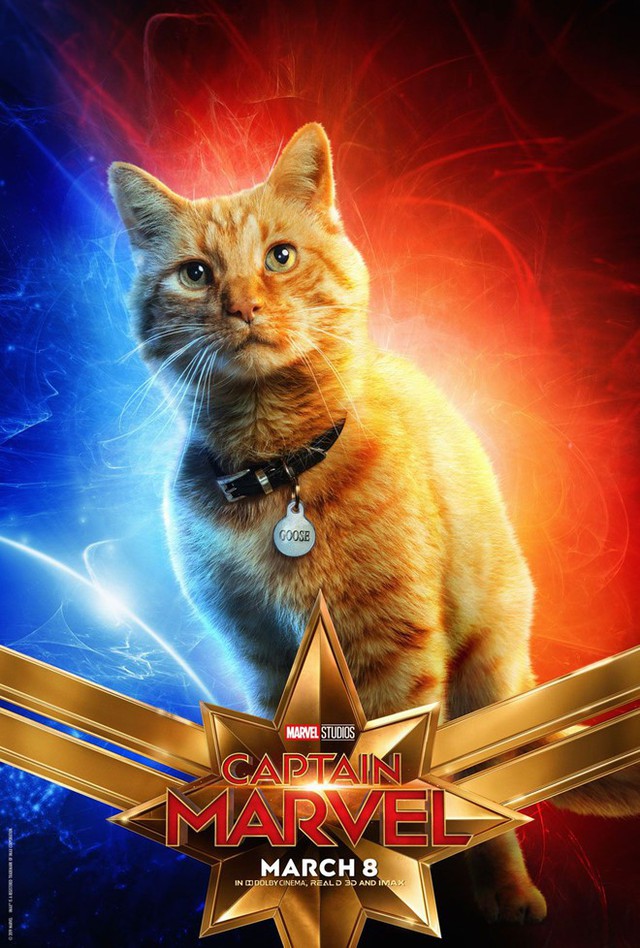 Captain Marvel: Goose, chú mèo vàng trong làng siêu anh hùng sở hữu năng lực khủng khiếp như thế nào? - Ảnh 1.