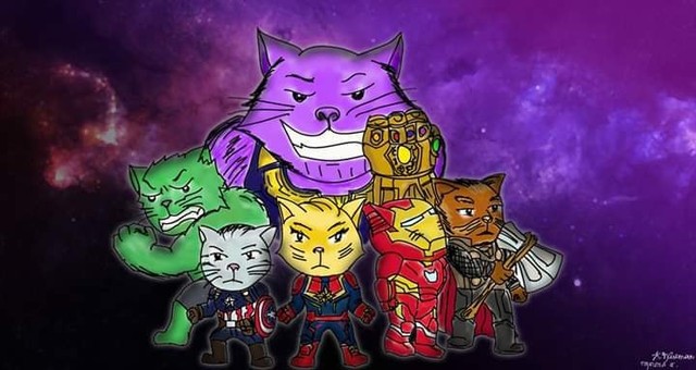 Hoảng loạn khi lũ mèo thống trị thế giới, các siêu anh hùng đều biến thành thú cưng - Ảnh 6.
