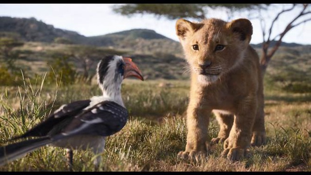 Disney tung tạo hình live-action của bộ đôi hài hước Timon và Pumbaa trong trailer mới của phim Vua Sư Tử - Ảnh 9.