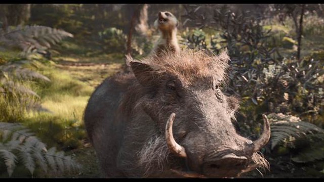 Disney tung tạo hình live-action của bộ đôi hài hước Timon và Pumbaa trong trailer mới của phim Vua Sư Tử - Ảnh 10.