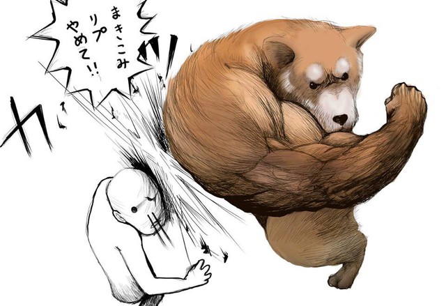 Chú chó tung nắm đấm không trượt phát nào như thánh Saitama bỗng trở thành meme trên mạng xã hội - Ảnh 2.