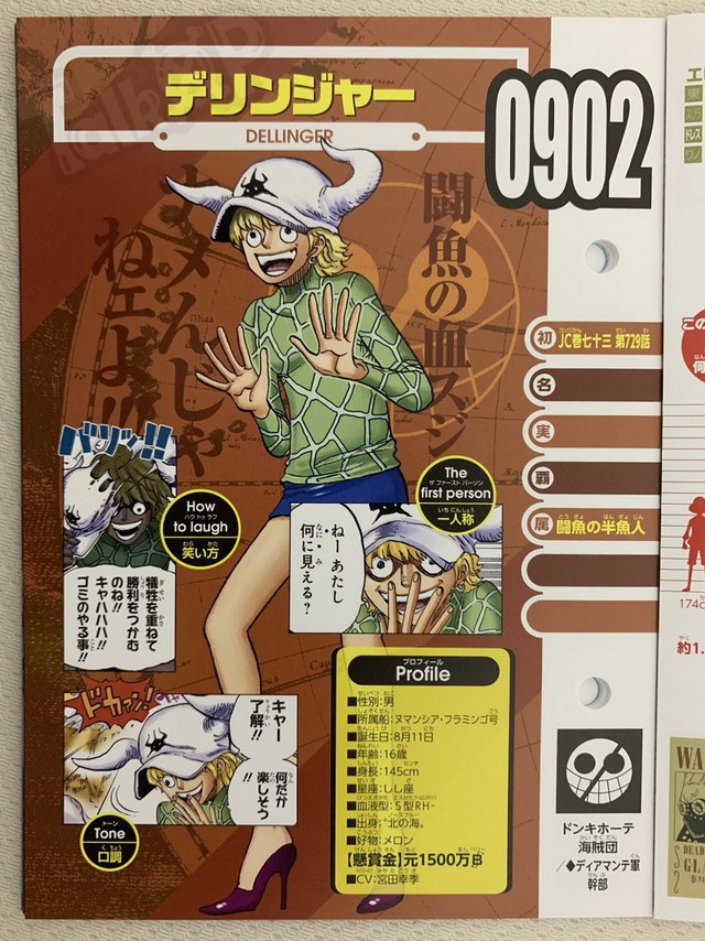 One Piece Vivre Card: Tiền truy nã của các thành viên gia tộc Doflamingo được tiết lộ!!! - Ảnh 9.