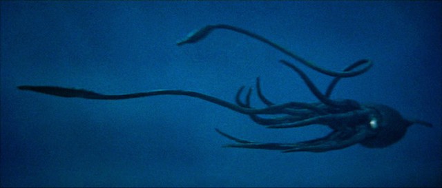 Bạch tuộc khổng lồ Daidako: Con quái vật sẽ sớm chạm trán với Godzilla trong tương lai? - Ảnh 3.