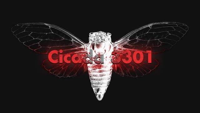 Cicada 3301: Câu đố đầy bí ẩn của Internet hiện đại - Ảnh 1.