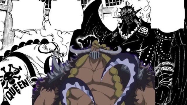 One Piece: Queen và Jack có cùng màu tóc, liệu 3 thảm họa của Kaido có phải là anh em ruột thịt - Ảnh 3.