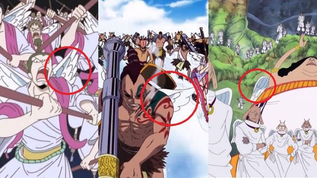 One Piece: Đôi cánh của thảm họa mạnh nhất dưới trướng Kaido thực sự có màu gì và vì sao nó luôn bốc cháy? - Ảnh 3.