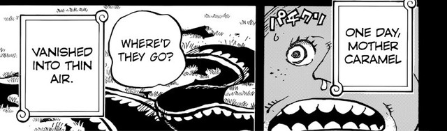 One Piece: Thông tin về mẹ của Big Mom được tiết lộ, có lẽ bà ta vẫn còn sống - Ảnh 2.