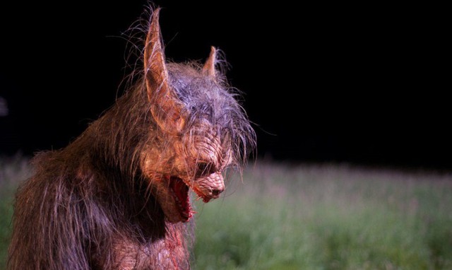 10 bộ phim kinh dị hay nhất về người sói cho những ai thích loài sinh vật huyền bí này - Ảnh 4.