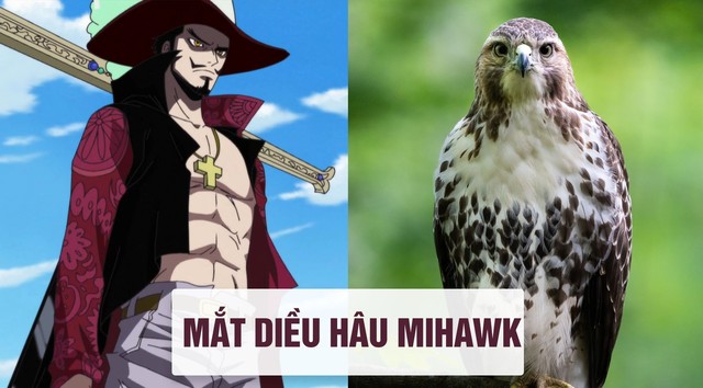 One Piece: Tên của các nhân vật và loài vật tương ứng với họ ở đời thật - Ảnh 2.