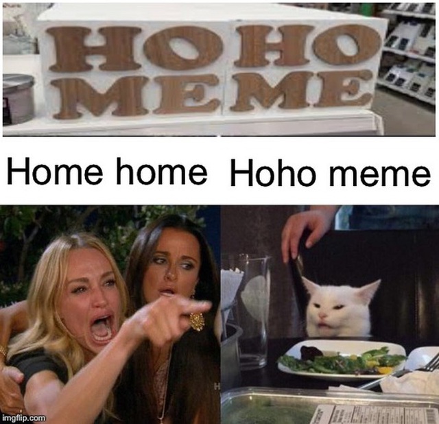 Điểm lại những meme nổi bật nhất với cư dân mạng trong năm 2019 vừa qua - Ảnh 4.