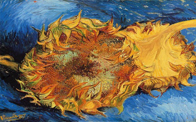 Bí Ẩn Những Bông Hoa Hướng Dương Trong Tranh Của Van Gogh