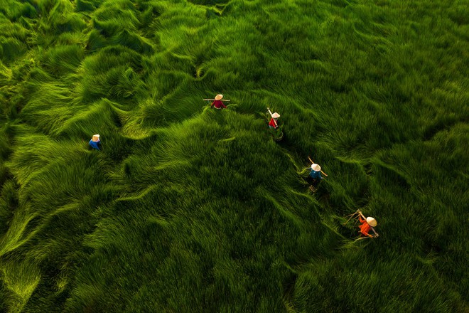 Một loạt tác phẩm Việt gây ấn tượng tại cuộc thi Nhiếp ảnh từ trên không 2020 - Ảnh 4.