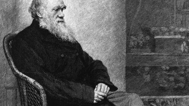 160 năm sau, các nhà khoa học thừa nhận Charles Darwin đã đúng về việc lý do tại sao côn trùng mất khả năng bay - Ảnh 1. 160 năm sau, các nhà khoa học thừa nhận Charles Darwin đã đúng về việc lý do tại sao côn trùng mất khả năng bay - Ảnh 1.
