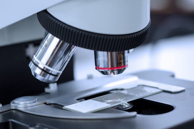 Các kính hiển vi hiện tại khó có thể 'nhìn thấu' vào bên trong cơ thể người để quan sát các mô sống (ảnh minh họa)