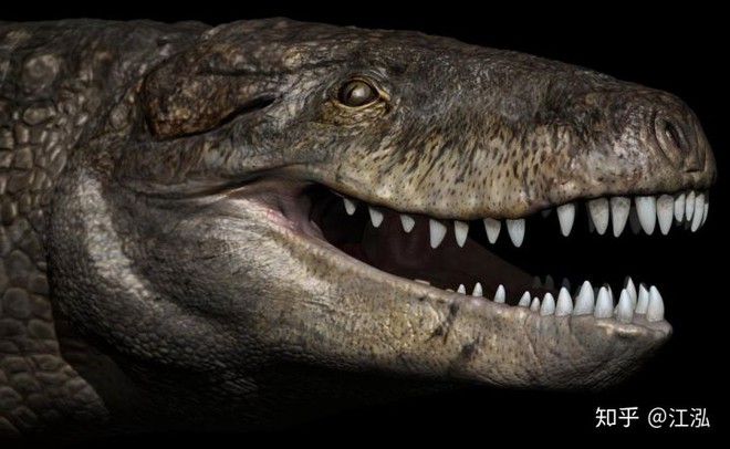 Cá sấu cổ đại: Cỗ máy hủy diệt còn đáng sợ hơn cả khủng long - Ảnh 9.