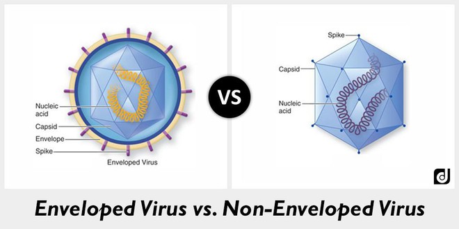 Cồn diệt virus corona như thế nào: Cách chọn nước rửa tay khô an toàn và hiệu quả nhất trong dịch Covid-19 - Ảnh 3.