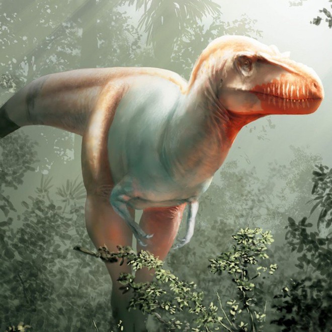 Phát hiện loài khủng long ăn thịt mệnh danh khủng long thần chết sống cách đây 79,5 triệu năm - Ảnh 2.