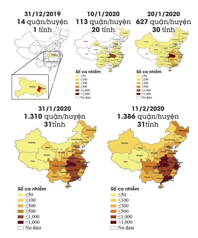 [Infographic] Những biểu đồ tiết lộ bản chất dịch tễ của COVID-19 - Ảnh 5.