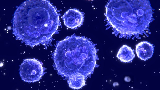 Đi tìm lời giải cho độc tính của virus corona: Khi nào chúng gây chết người, khi nào chỉ gây cúm? - Ảnh 7.