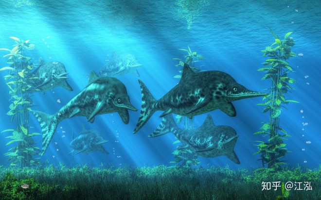 Các nhà cổ sinh vật học phát hiện ra chất béo trên cơ thể của thằn lằn cá từ 180 triệu năm trước - Ảnh 14.