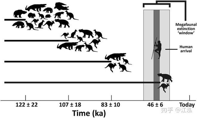 Sơ đồ về việc giảm số lượng động vật lớn ở Úc.