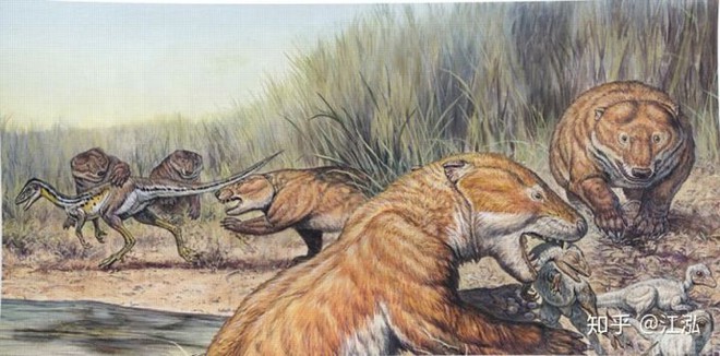 Tại sao không có động vật có vú khổng lồ trong kỷ nguyên khủng long? - Ảnh 6.