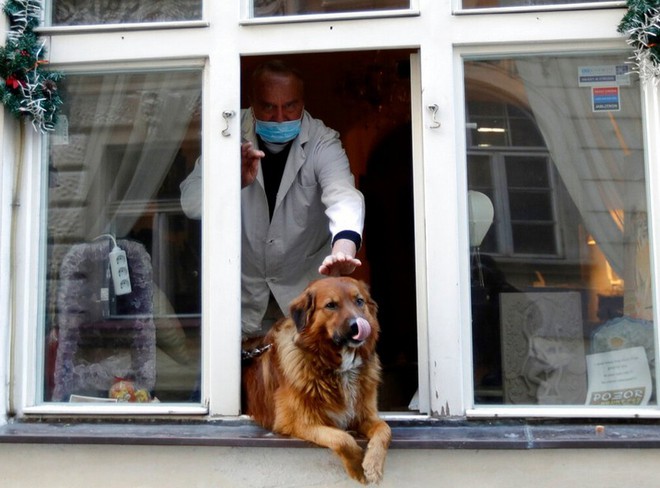 Các nhà nghiên cứu Anh huấn luyện chó để phát hiện dấu hiệu của người nhiễm Covid-19 - Ảnh 1.