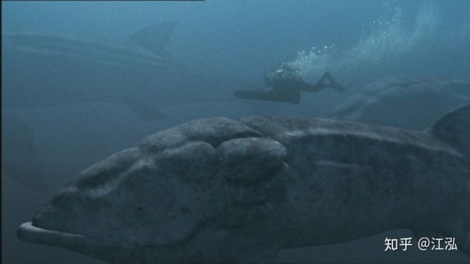 Leedsichthys: Máy hút bụi của biển cả Kỷ Jura từng bị hiểu nhầm là khủng long - Ảnh 8.