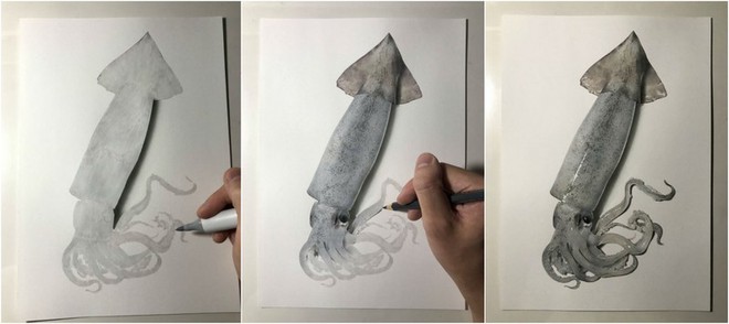 Nghệ sĩ Nhật vẽ tranh siêu thực khiến người xem cứ ngỡ như đang nhìn một con mực sống trước mặt - Ảnh 2.