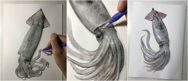 Nghệ sĩ Nhật vẽ tranh siêu thực khiến người xem cứ ngỡ như đang nhìn một con mực sống trước mặt - Ảnh 1.