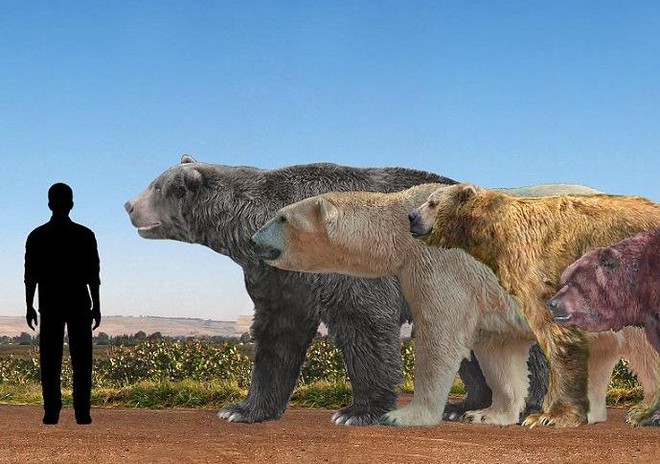 5 loài động vật thời tiền sử chuyên săn lùng tổ tiên của chúng ta - Ảnh 4.