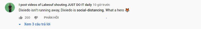 Không phải Dexiedo cố tình bỏ trốn đâu, nó đang thực hiện cách ly xã hội đấy. Ngoan thế chứ lị.
