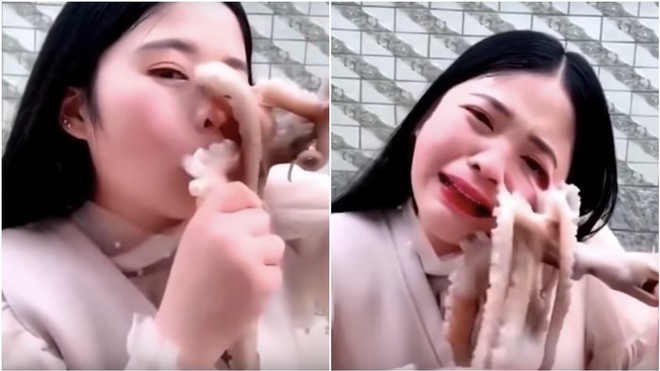 Nữ vlogger thực hiện thử thách ăn bạch tuộc sống, nhưng con bạch tuộc cũng cố ăn lại cô ấy - Ảnh 1.