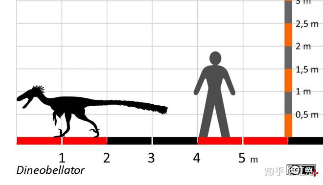 Nghiên cứu mới cho thấy người anh em của khủng long Velociraptor tại Bắc Mỹ có tổ tiên bắt nguồn từ Châu Á - Ảnh 7.