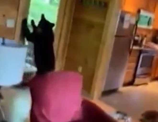 ... và để lại nhiều vết cào cấu khắp nơi bên trong căn nhà.