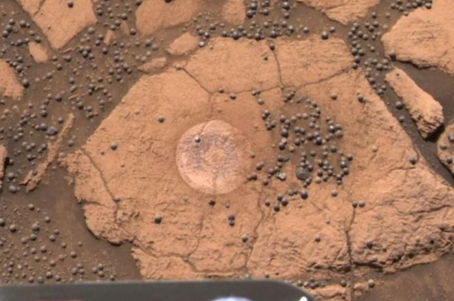 Những bức ảnh chụp trên Sao Hỏa kỳ lạ nhất thế giới: Toàn đất đá mà nhìn ra đủ thứ, từ động vật, thực vật cho đến cả mặt người - Ảnh 5.