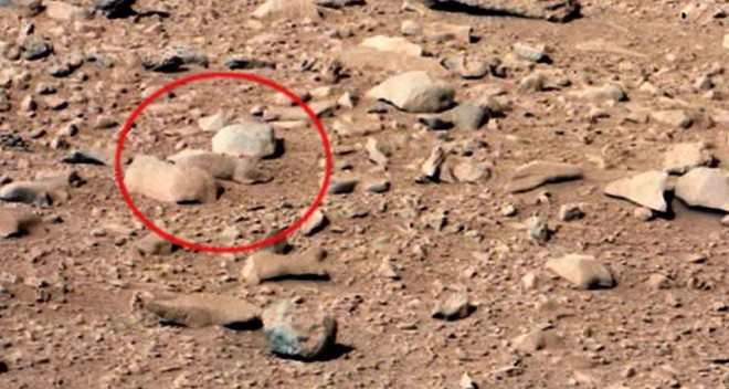 Những bức ảnh chụp trên Sao Hỏa kỳ lạ nhất thế giới: Toàn đất đá mà nhìn ra đủ thứ, từ động vật, thực vật cho đến cả mặt người - Ảnh 7.
