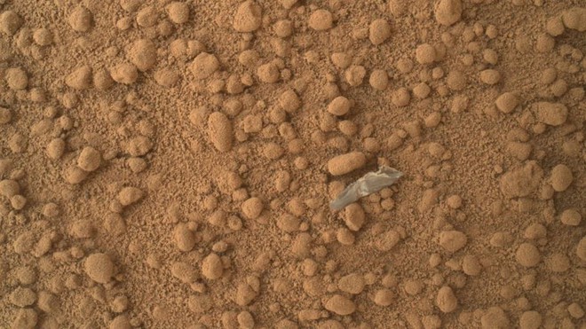 Những bức ảnh chụp trên Sao Hỏa kỳ lạ nhất thế giới: Toàn đất đá mà nhìn ra đủ thứ, từ động vật, thực vật cho đến cả mặt người - Ảnh 8.