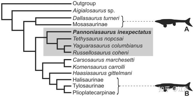 Pannoniasaurus: Quái vật dài 6 mét ở vùng nước ngọt của Hungary - Ảnh 10.