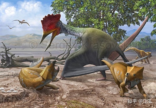 Pannoniasaurus: Quái vật dài 6 mét ở vùng nước ngọt của Hungary - Ảnh 8.
