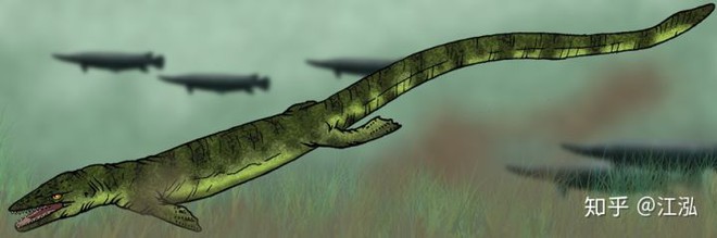 Pannoniasaurus: Quái vật dài 6 mét ở vùng nước ngọt của Hungary - Ảnh 6.