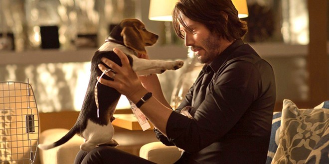 Director John Wick had to fight fiercely to keep the dog killing scene in part 1 to shock the audience - Photo 1.