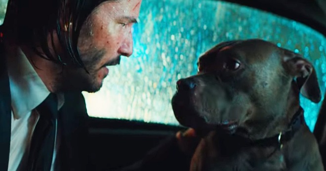 Director John Wick had to fight fiercely to keep the dog killing scene in part 1 to shock the audience - Photo 2.