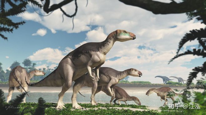 Australia phát hiện hóa thạch khủng long biến thành đá quý - Ảnh 16.
