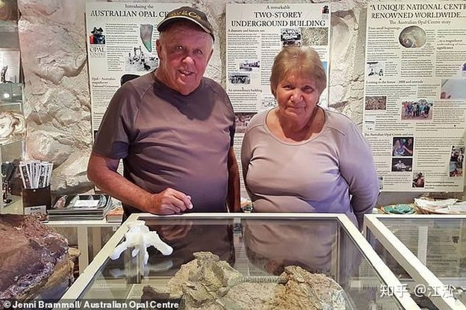 Australia phát hiện hóa thạch khủng long biến thành đá quý - Ảnh 6.
